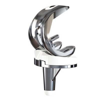 Artificial Knee Joint SKII CR Femoral Condyle